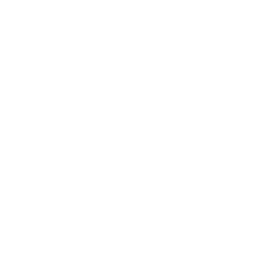 Chip Icon