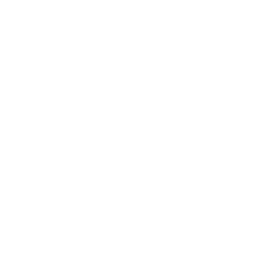 Chip Icon